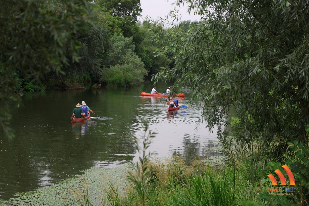 tamiska regata 04