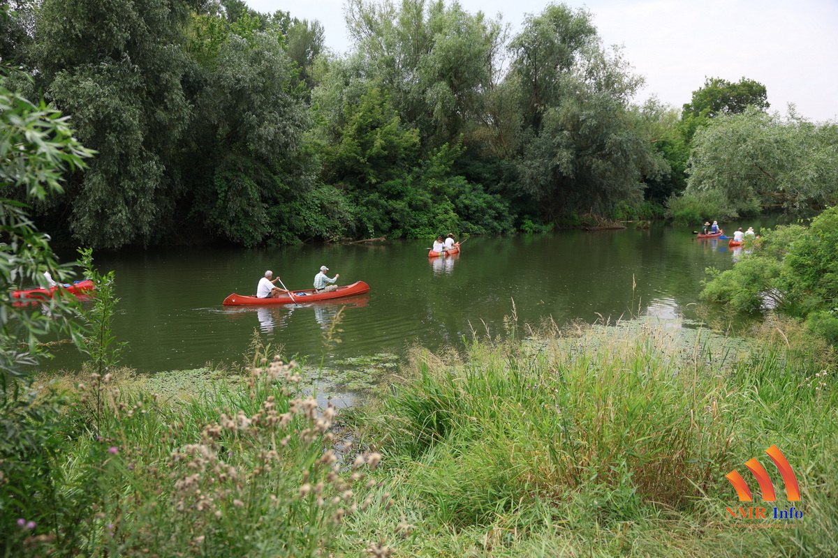 tamiska regata 08