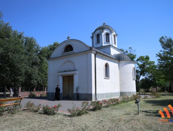banatsko visnjicevo 1 banatsko visnjicevo 1